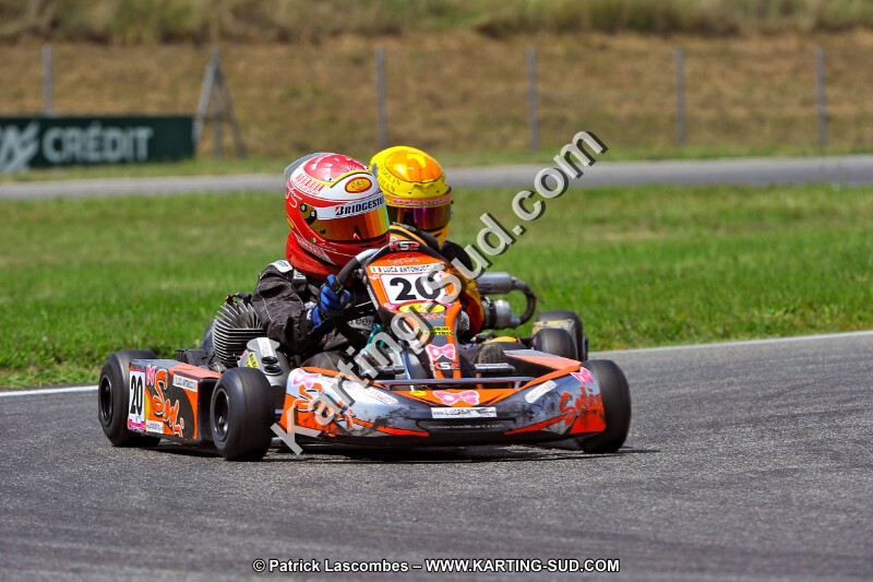 DSC_ (331).JPG